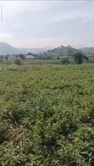 5 Plots of Customary Land in Kushako, Bwari