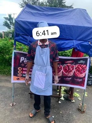 4x4 Shawarma/Food Canopy with Two Sides Cover