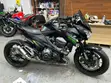 Kawasaki Liquid Cooled Babur 2016 - 1