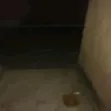 Mini Flat don haya a Ebute Metta, Lagos - 3