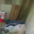 Mini Flat don haya a Ebute Metta, Lagos - 5