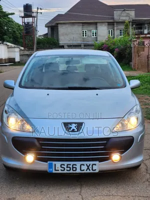 Peugeot 307 2006 Silver