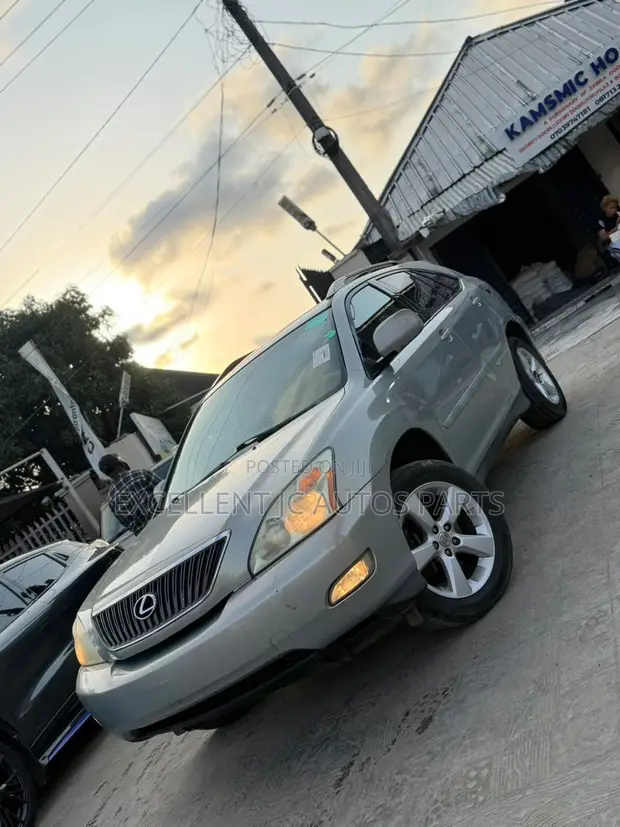 Lexus RX 350 2007 Grey - 1