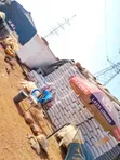 Mangal Cement Kai Tsaye Daga Masana'anta - 2