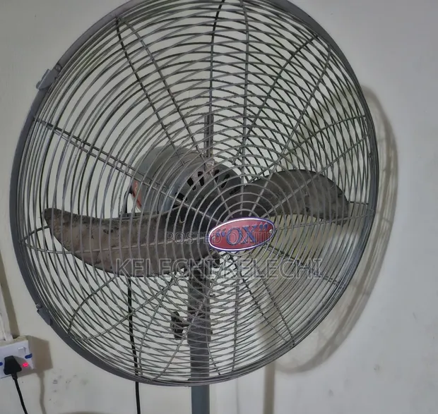 OX Fan Mai Tsaye - 1