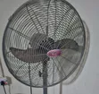 OX Fan Mai Tsaye - 1