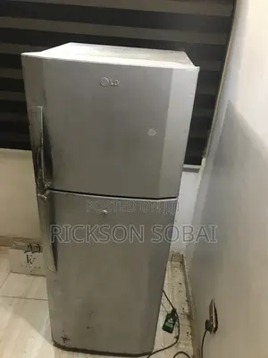 LG Refrigerator Mai Kofofi Biyu (Na Biyu)