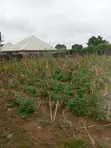 Filin 800m2 Don Siyarwa a Gwagwalada, Abuja - 4