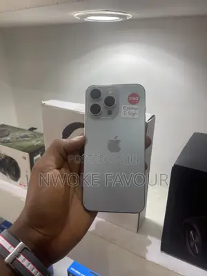 Apple iPhone 15 Pro Max 256GB Gray