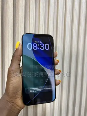 Apple iPhone 16 Pro Max 256GB Baki