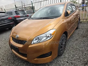 Toyota Matrix 2010 Zinariya