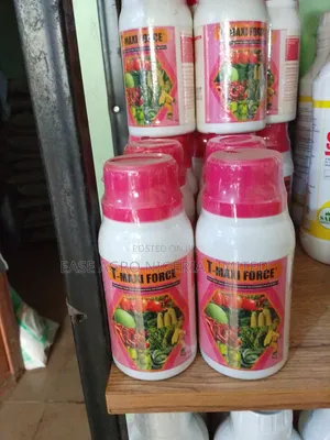 T-Maxi Force Ruwan Noma
