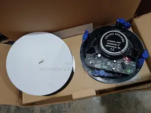 40W 2-in-1 Bluetooth Ceiling Speaker (Sabon Hannu)