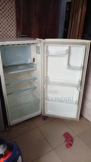LG Express Cool Refrigerator