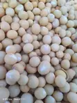 Dasomfoods Shinkafar Kasar Waje ta Najeriya (50kg) - 3