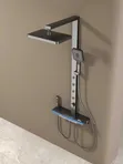 Luxury Standing Shower with Master Brand - 2