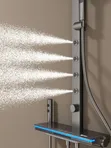 Luxury Standing Shower with Master Brand - 3