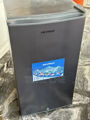 Skyrun 80L Freezer