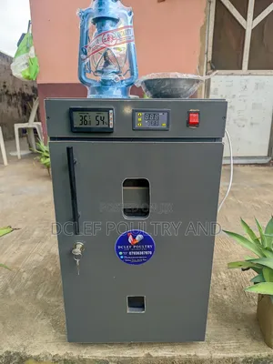 Kerosene Lantern and Electric Incubator