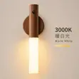 Amerlux Automatic Sensor Wall Light - 2