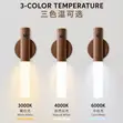 Amerlux Automatic Sensor Wall Light - 3