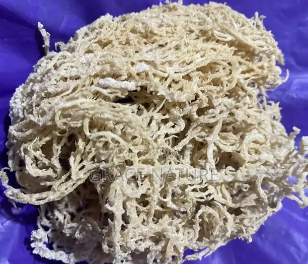 Irish Sea Moss - Health Supplement - 1