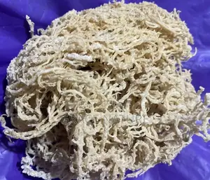 Irish Sea Moss - Health Supplement