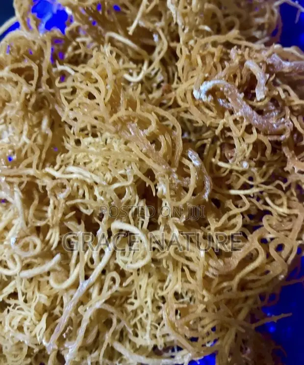 Wild Crafted Sea Moss - 1