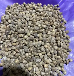 Hemp Seeds