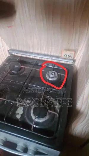 Maxi 4-Burner Gas Cooker with Oven