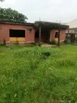 Distressed Full Plot Land, Almost Fenced & Gated (Half Available) - 4