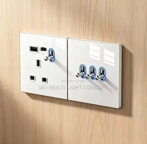 Luxury White Glass USB Wall Socket