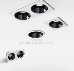 Embedded Double-Head Spot Light
