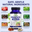 Prostate Health Formula - Urinary Tract Support - 2