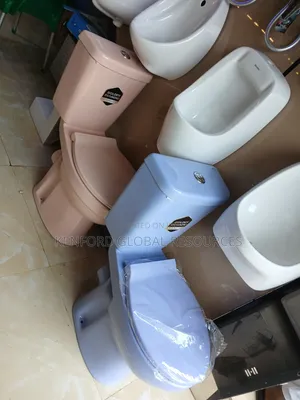 Master Coloured WC Complete Set with Basin and Pedestal