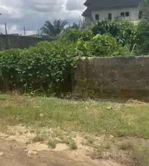 100x50ft Dry Table Land for Sale in Ugolo, Delta State