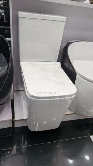 Master Extra Height Water Closet - White
