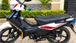 Babur Lifan 110cc 2023 - 4