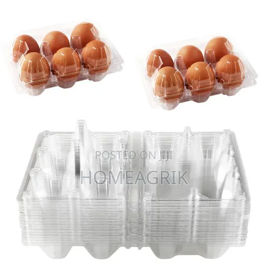 Transparent Egg Crates (30, 24, 15, 12, 6 Count) - 1