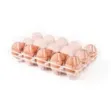 Transparent Egg Crates (30, 24, 15, 12, 6 Count) - 2