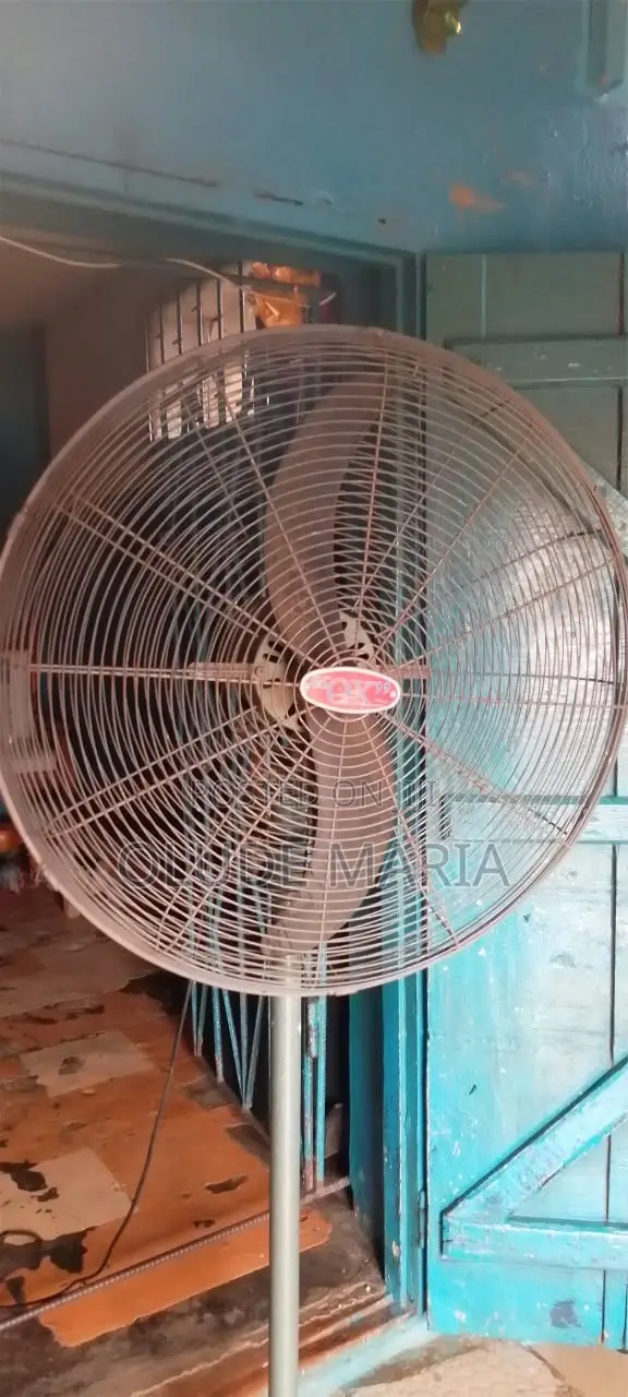 OX Fan Mai Tsayuwa - 1