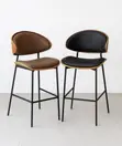 Home Interiors Bar Stool Mai Launi Da Yawa Da Fata - Sabo - 2