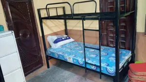 Home Interiors 3x6 Bunk Bed Frame - Baki