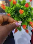 Zoben Aure na Zinariya - 1