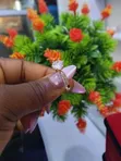 Zoben Aure na Zinariya - 2