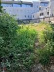 950 SQM Mixed-Use Land for Sale, Victoria Island - 2