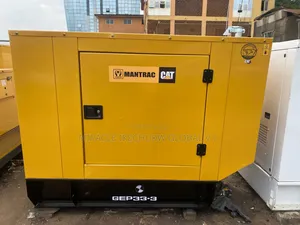 30 KVA CAT Perkins Jinjirin Mai Sauti (Na Biyu)