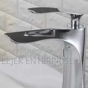 Master Stainless Steel Basin Mixer