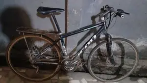 Used Bicycle - Black, Size L
