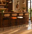 Unique Modern Cane-Back Barstool - 1